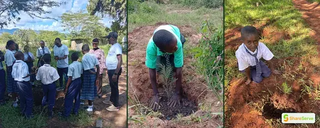 Climate Action programme in action